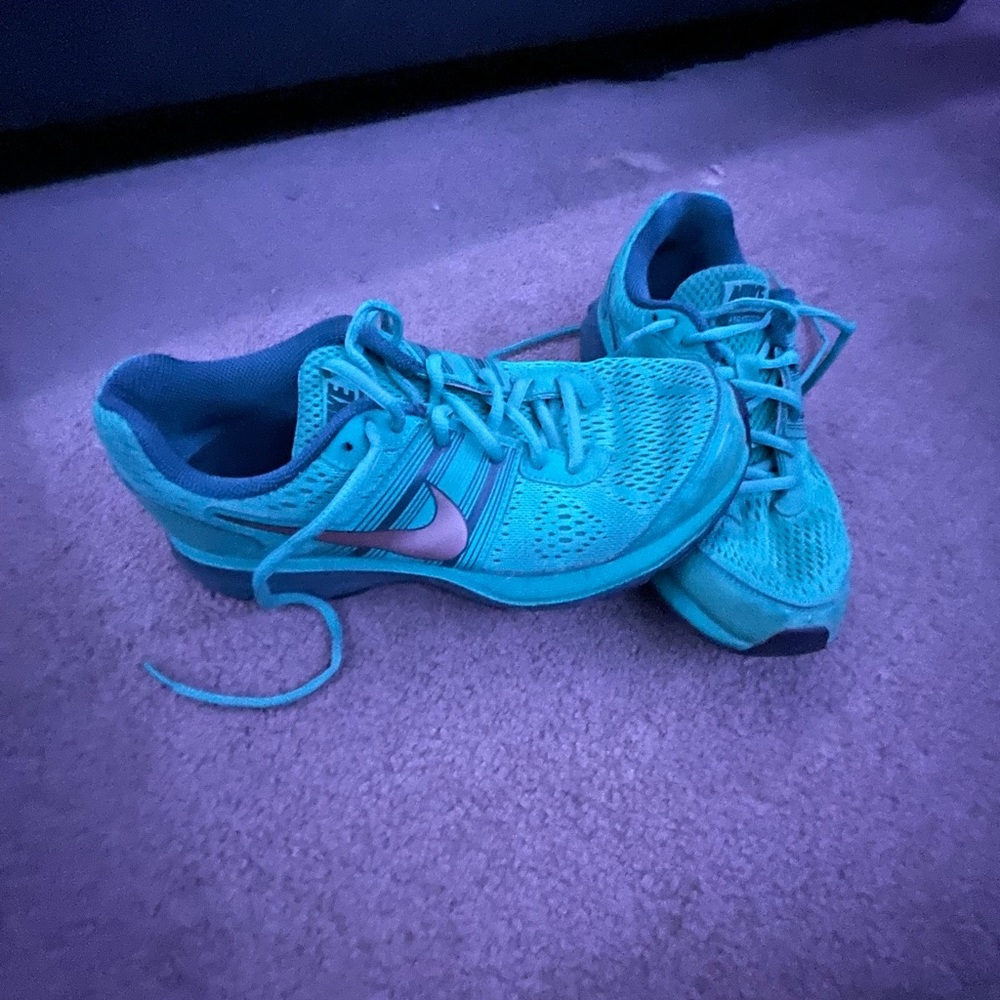 Nike Pegasus